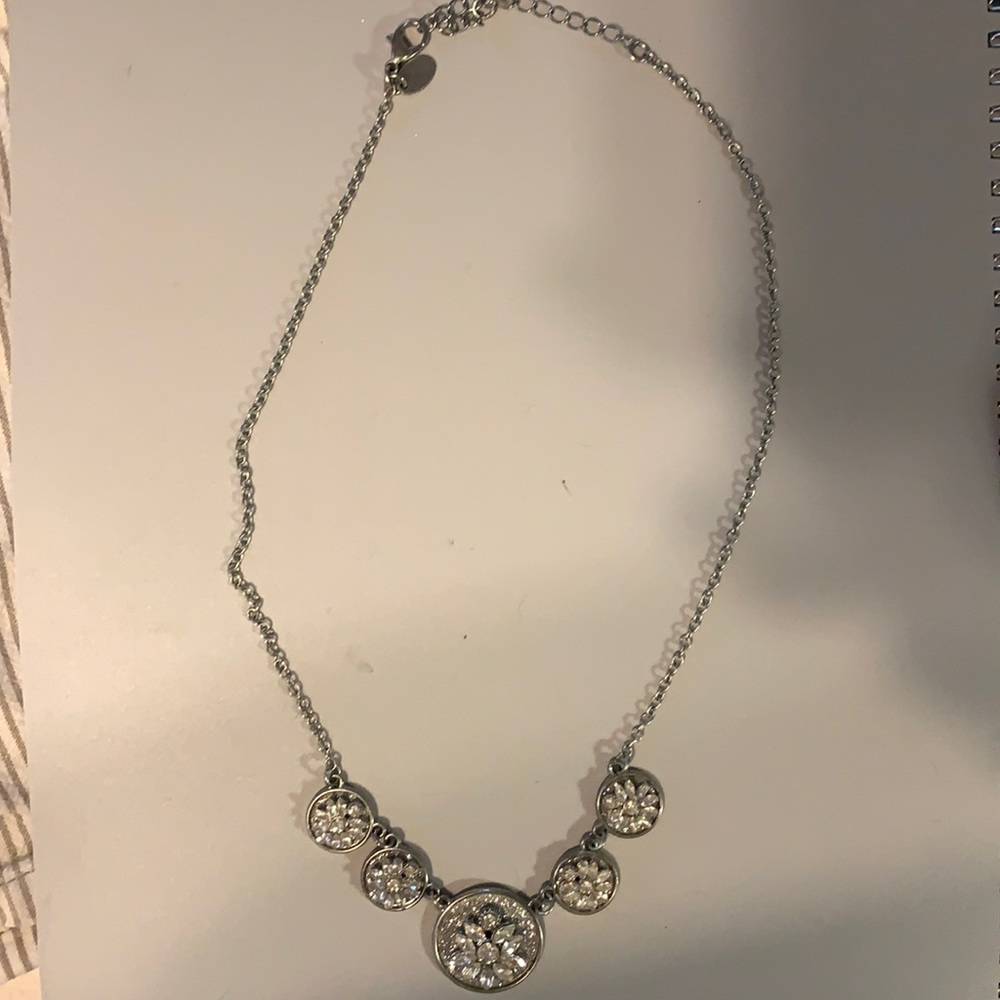 Charming Charlie silver necklace